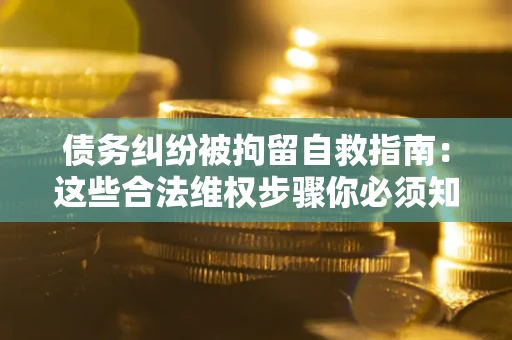 济南债务纠纷被拘留自救指南：这些合法维权步骤你必须知道！
