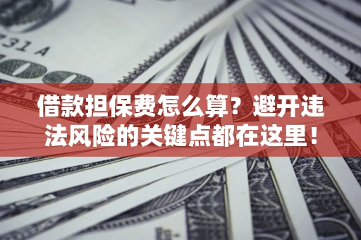 济南借款担保费怎么算？避开违法风险的关键点都在这里！