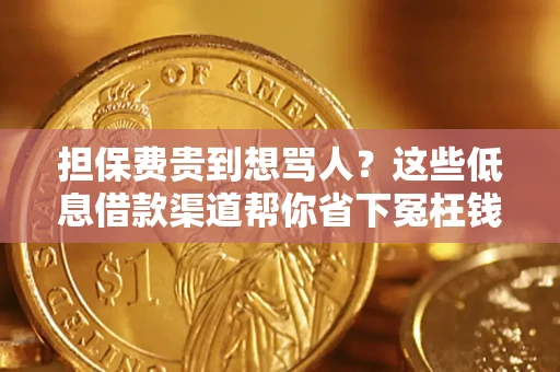 济南担保费贵到想骂人？这些低息借款渠道帮你省下冤枉钱
