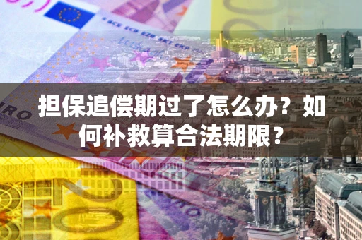 济南担保追偿期过了怎么办？如何补救算合法期限？