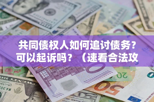 济南共同债权人如何追讨债务？可以起诉吗？（速看合法攻略）